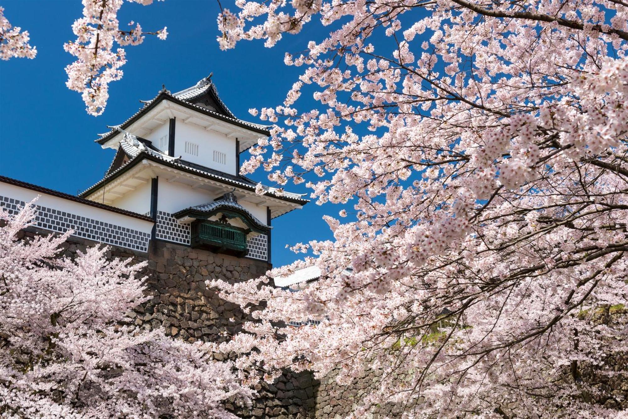 Tokyu Stay Kanazawa Exteriér fotografie