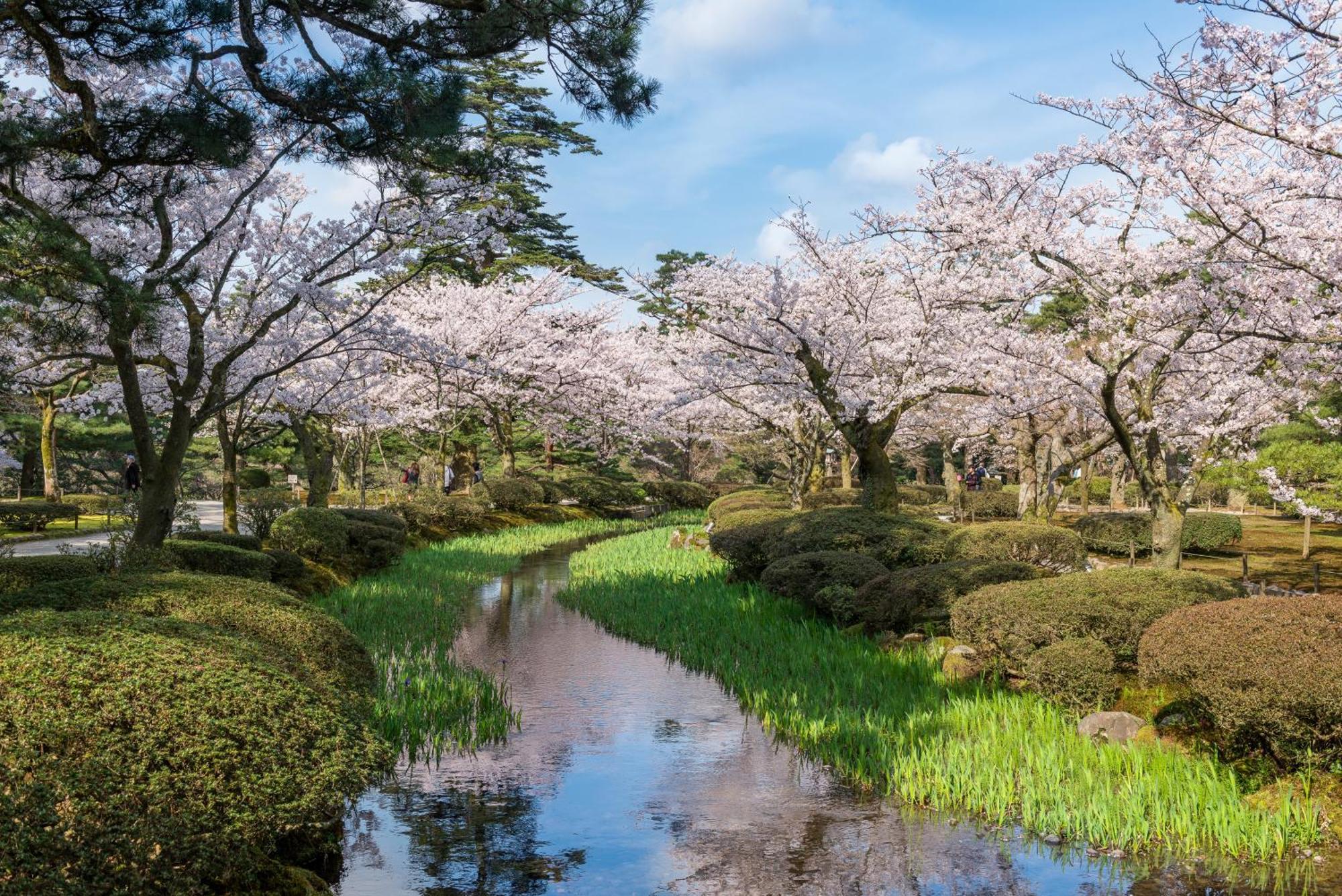 Tokyu Stay Kanazawa Exteriér fotografie